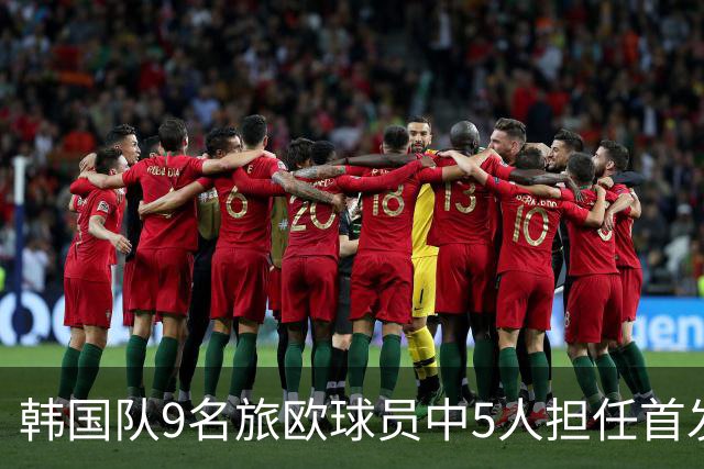 韩国队9名旅欧球员中5人担任首发，4人待命替补