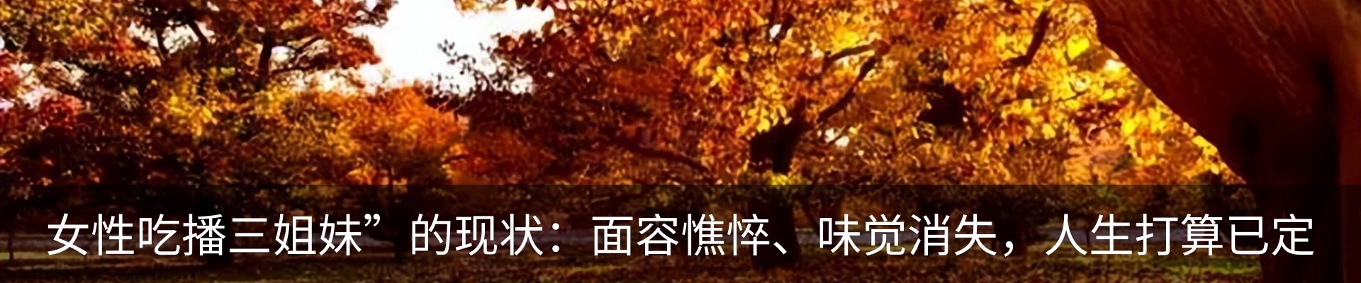 行业资讯